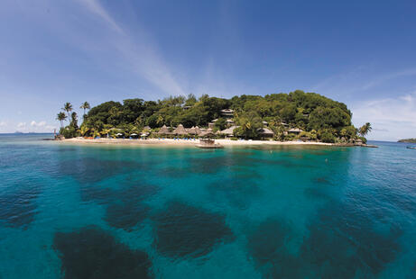 Young Island