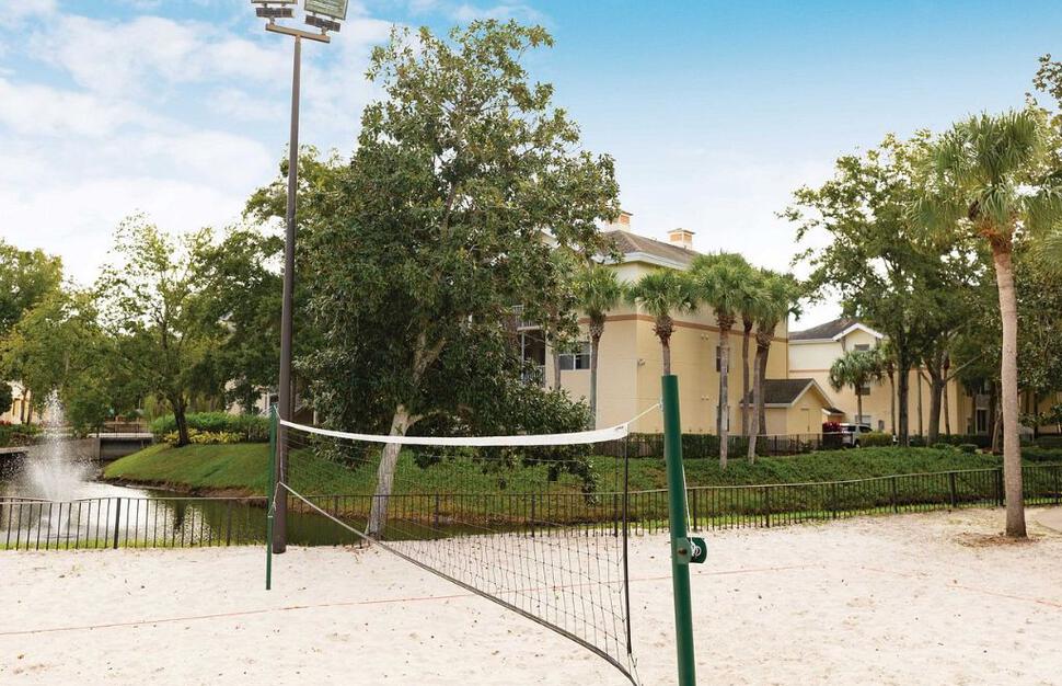 Volleyball Court