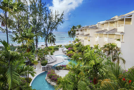 Bougainvillea Barbados