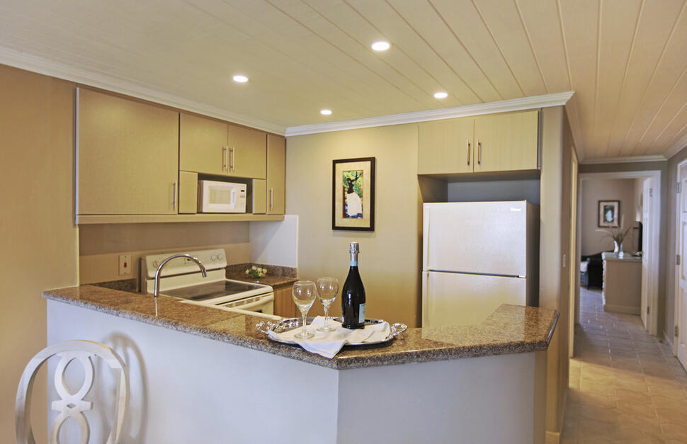 1-Bedroom Deluxe Suite