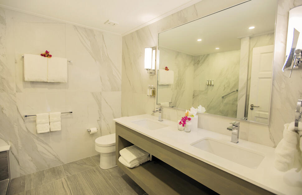 1-Bedroom Deluxe Suite