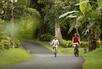Cycling tour