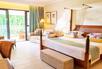 Deluxe Plus Room