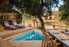 Safari Suite