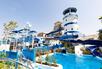 Jungle Bay