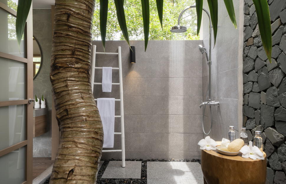 Jacuzzi Pool Suite