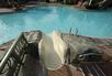 High Rock Spring Pool
