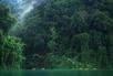 The Lake Camp
