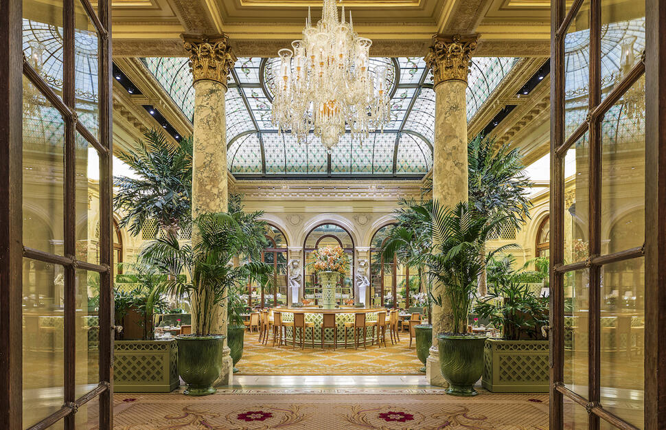 The Palm Court