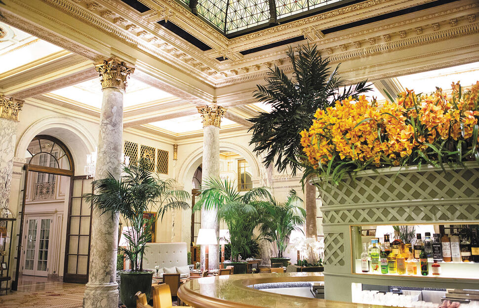 The Palm Court