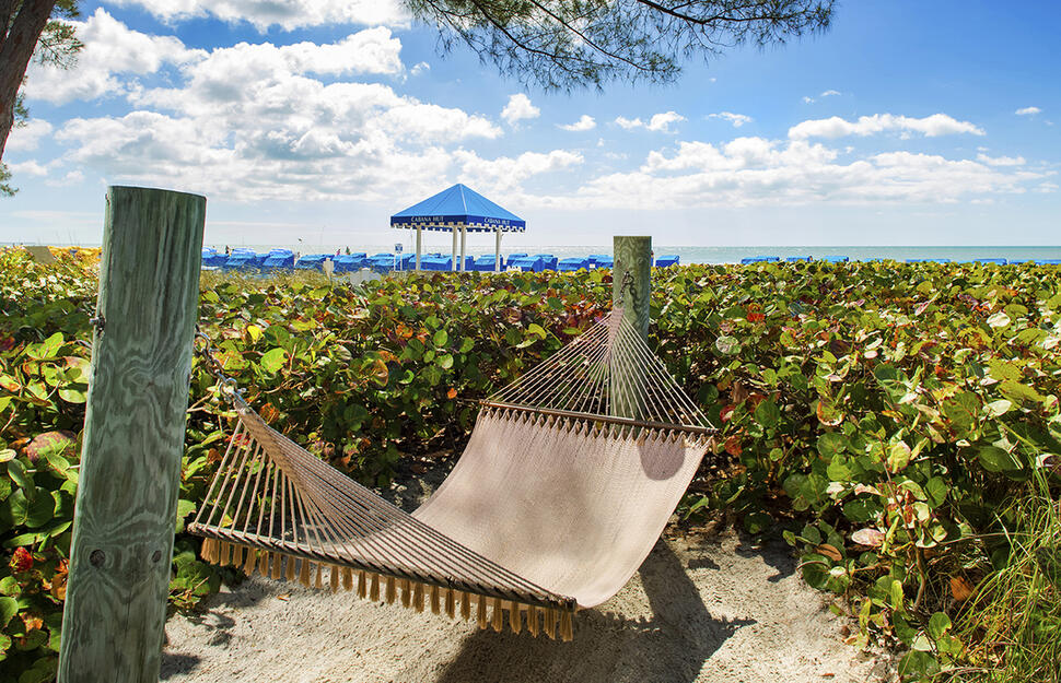 RumFish Beach Resort by TradeWinds St Pete Beach, Tampa and