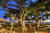 Bayan Courtyard