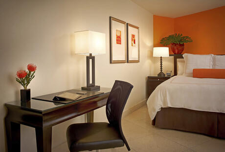 Deluxe Suite King Room