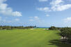 Playa Mujeres Golf Course