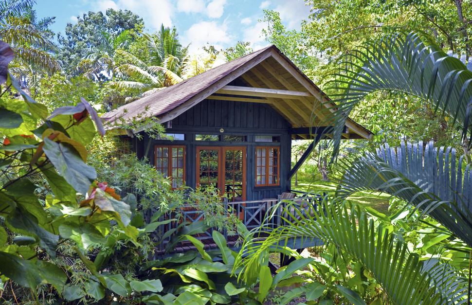 Tree Top Deluxe Room