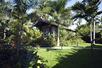 Tree Top Suite