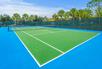 Tennis court