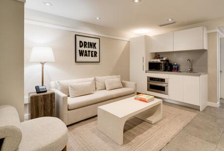 Suite King Living Area