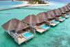 Dolphin Ocean Villa with Pool