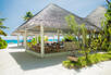 Grouper Grill