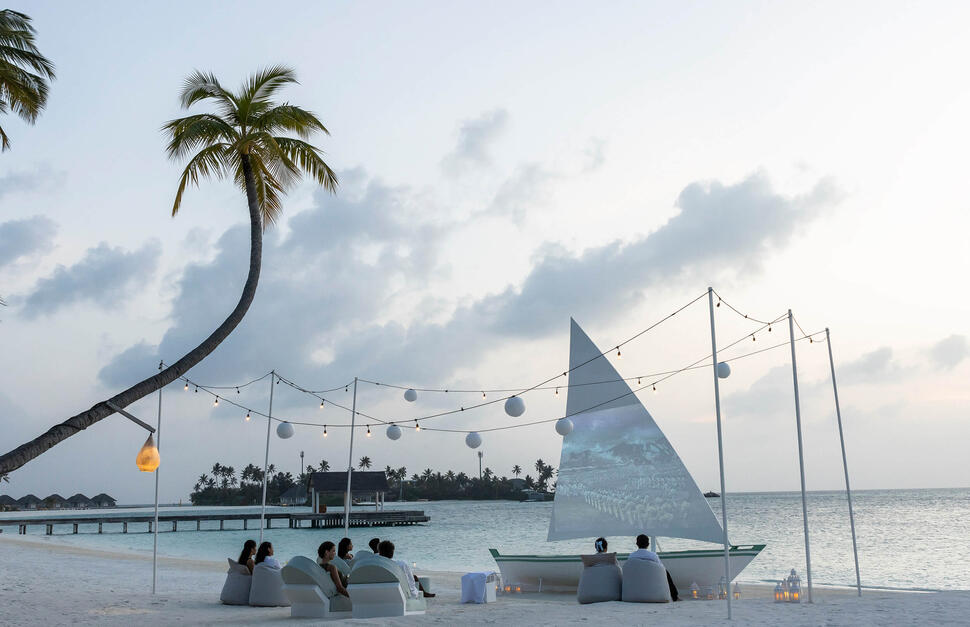 Cinema Under the Stars